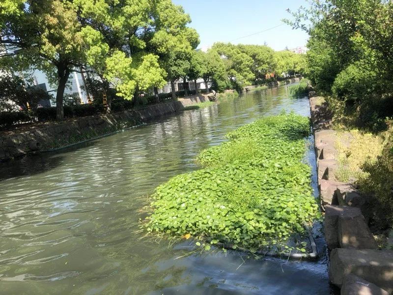 便攜式水質(zhì)檢測儀用于檢測河流水質(zhì) 便攜式水質(zhì)檢測儀用于檢測河流水質(zhì)