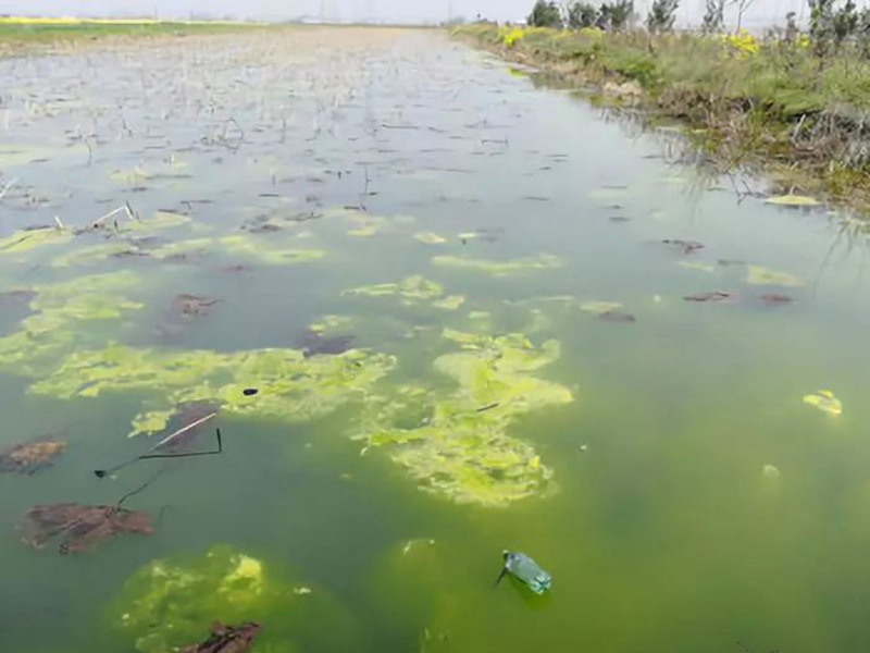 水質(zhì)檢測(cè)分析儀可用于什么地方 水質(zhì)檢測(cè)分析儀可用于什么地方
