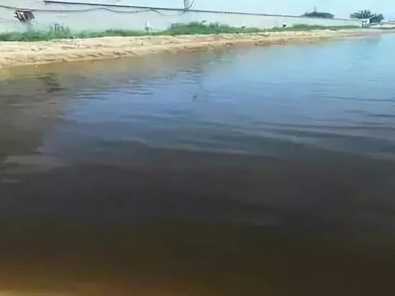 生物毒性檢測儀用于神經(jīng)毒劑的毒性檢測 生物毒性檢測儀用于神經(jīng)毒劑的毒性檢測