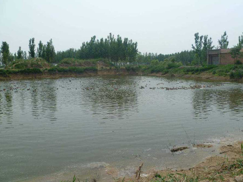 水產(chǎn)養(yǎng)殖檢測(cè)儀測(cè)定魚塘氨氮含量