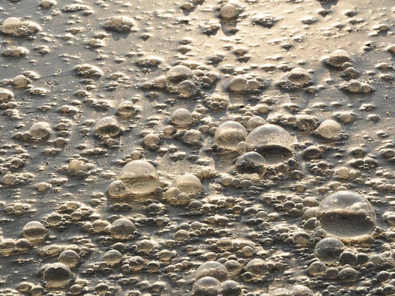 便攜式生物毒性檢測儀檢測廢水排放