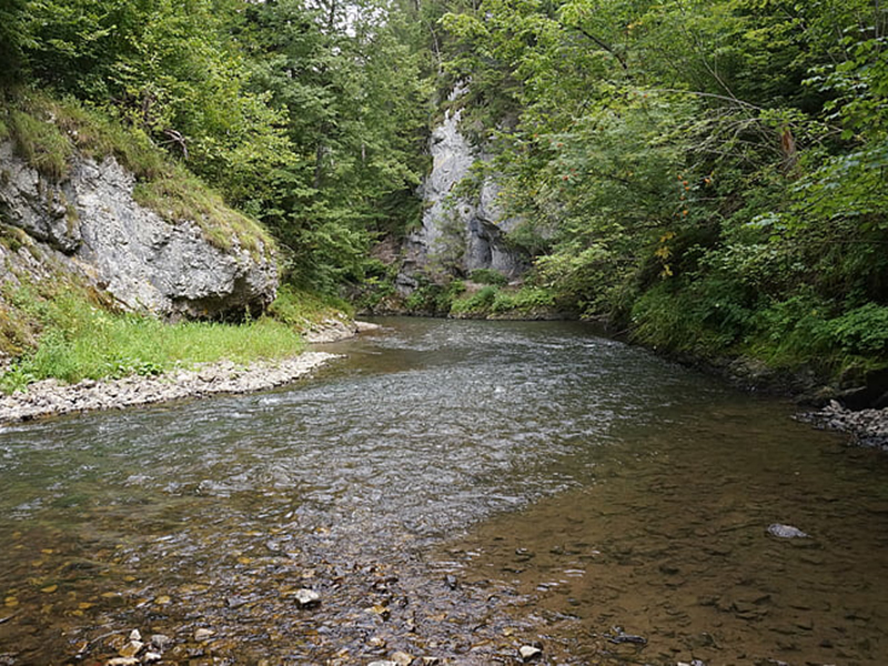 手持河流水質檢測儀，測定河流水質是否安全