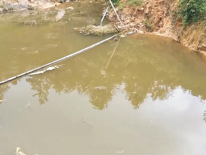 魚塘的水變臭是什么原因引起的？要怎么解決