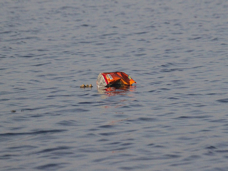 生物毒性檢測儀助力發(fā)展綠色水產(chǎn)品