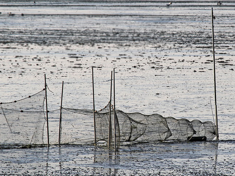 多參數(shù)水質(zhì)分析儀好用嗎