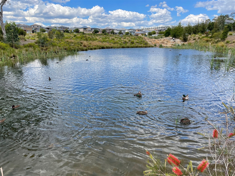 如何高效處理水中氨氮