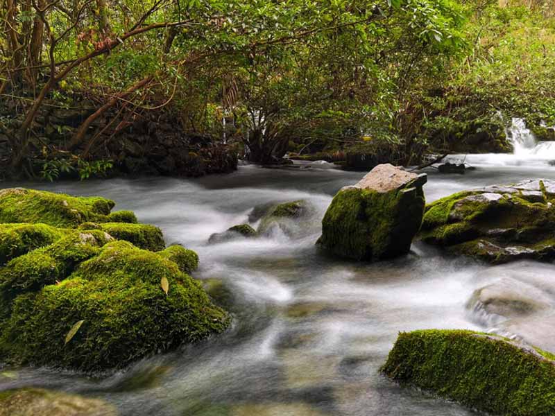 直飲水的水質(zhì)檢測標(biāo)準(zhǔn)是多少