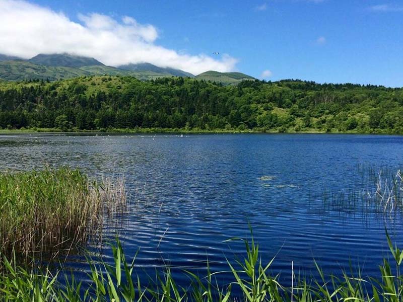 水產(chǎn)養(yǎng)殖水質(zhì)檢測指標分析