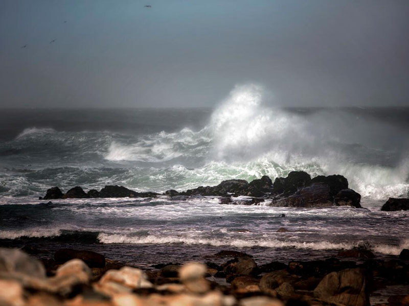 河北今年將確保白洋淀保持Ⅲ類水質(zhì)