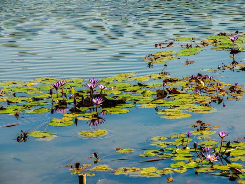 水質(zhì)余氯、總氯、化合氯是什么關系