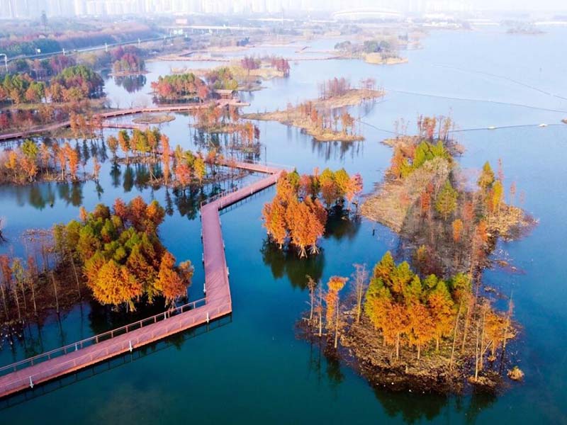 水質(zhì)氨氮檢測(cè)的注意事項(xiàng)