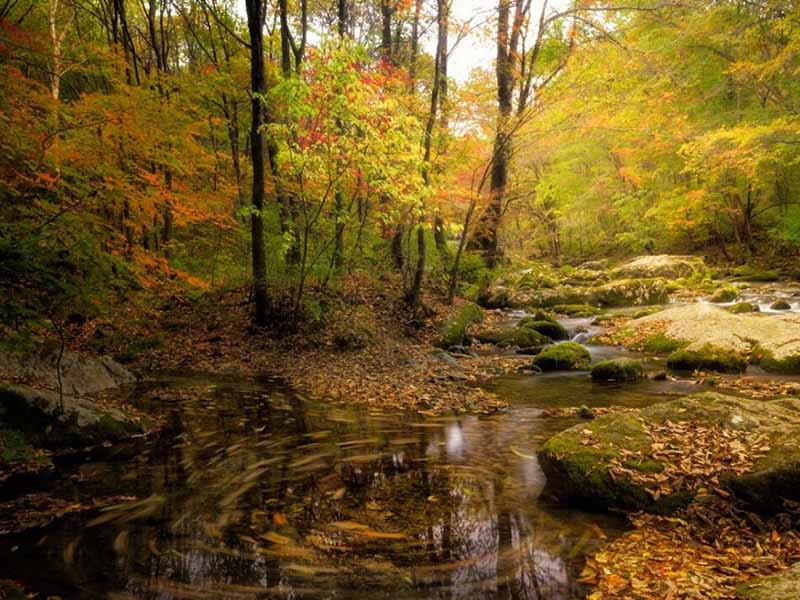 COD在線水質(zhì)監(jiān)測儀技術(shù)參數(shù)