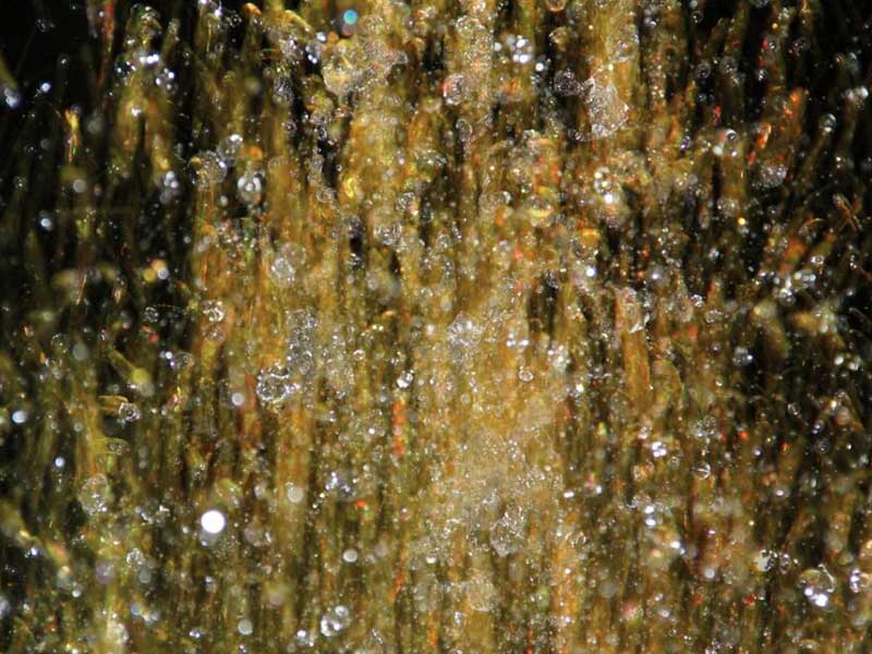 水質(zhì)COD檢測(cè)標(biāo)準(zhǔn)匯總