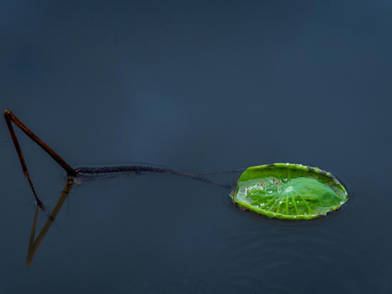 碘量法檢測有效氯含量的原理
