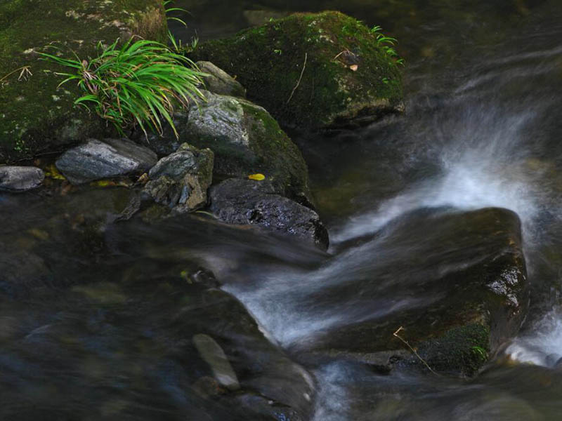 在線水質(zhì)分析儀的主要檢測技術(shù)