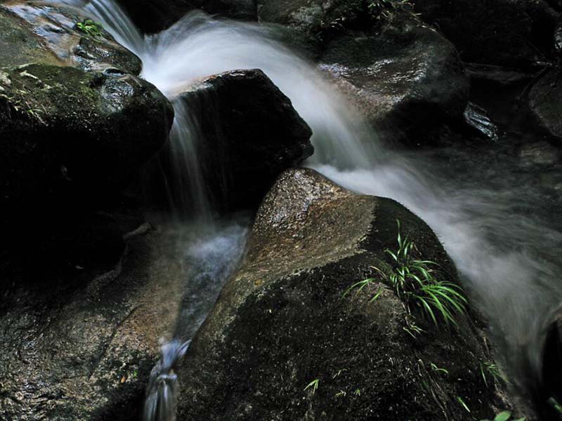 BOD5是什么意思 BOD5是什么意思