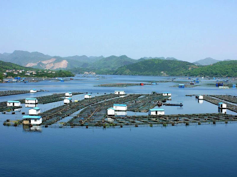 污水總磷排放標(biāo)準(zhǔn)是多少