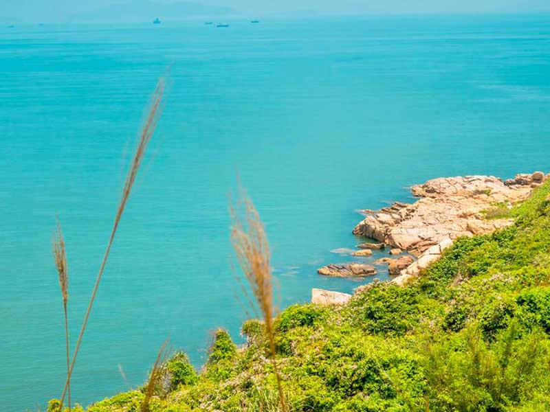 水中葉綠素a含量一般是多少