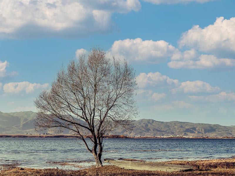 飲用水pH值標(biāo)準(zhǔn)