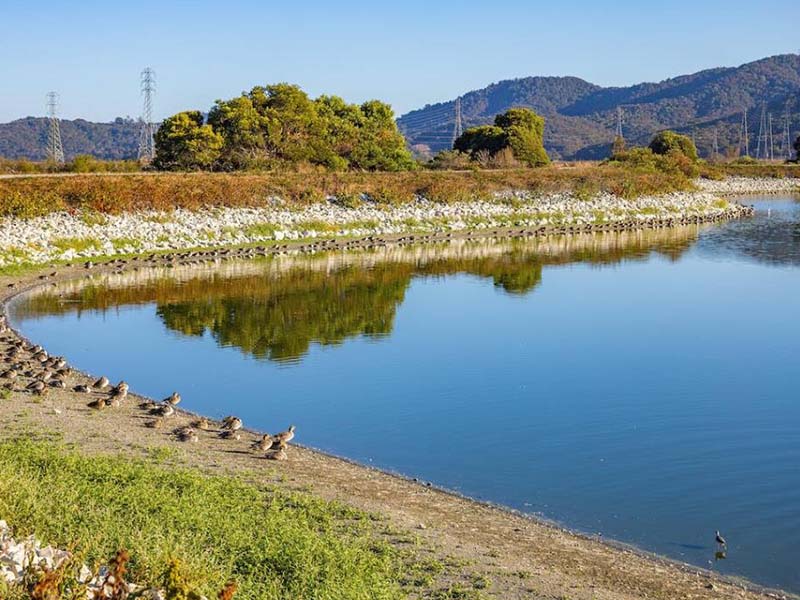 河南省1月份地表水環(huán)境質(zhì)量排名 河南省1月份地表水環(huán)境質(zhì)量排名