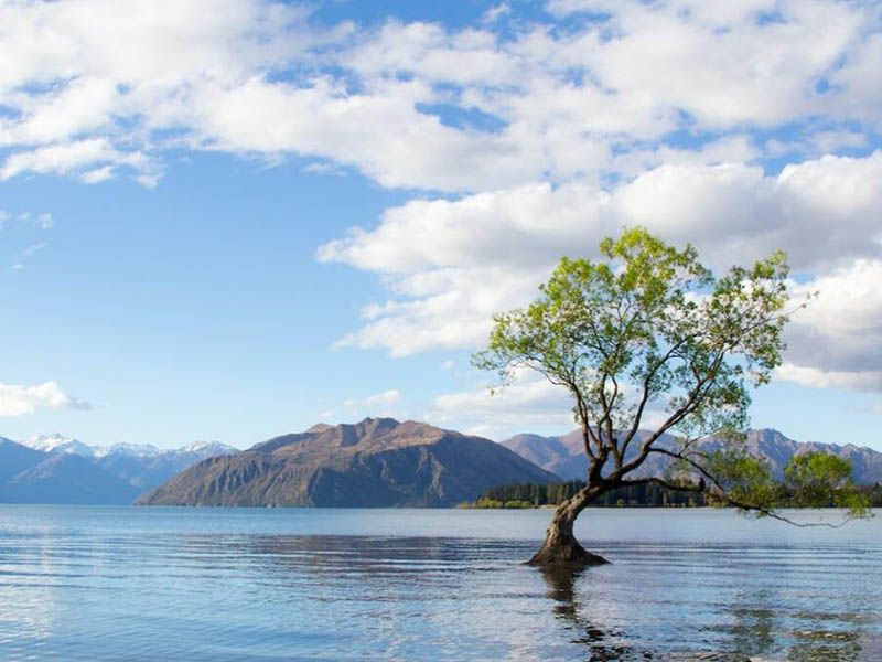 余氯檢測(cè)儀的工作原理 余氯檢測(cè)儀的工作原理
