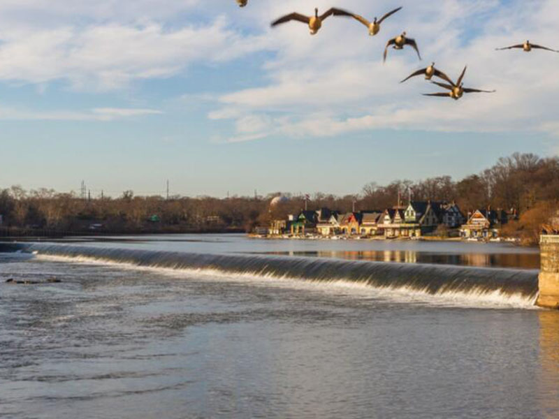污水糞大腸菌群檢測方法 污水糞大腸菌群檢測方法