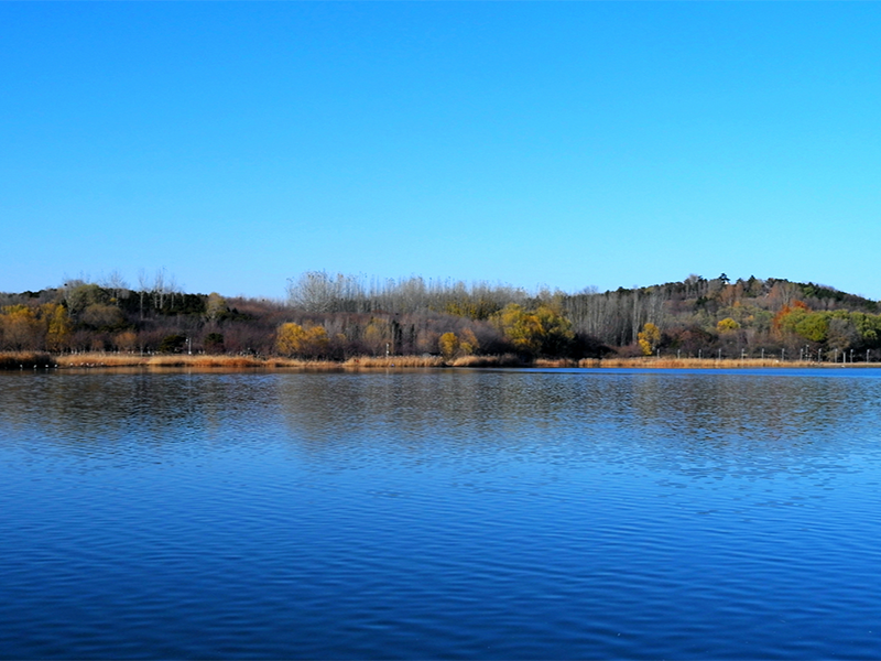 玻璃電極法檢測(cè)水質(zhì)pH的原理 玻璃電極法檢測(cè)水質(zhì)pH的原理