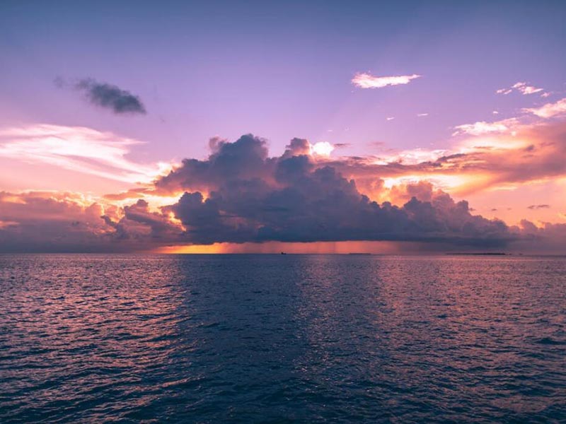 全自動(dòng)測(cè)油儀的優(yōu)勢(shì)