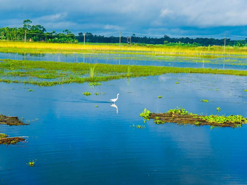 CODcr和CODMn有啥區(qū)別 CODcr和CODMn有啥區(qū)別