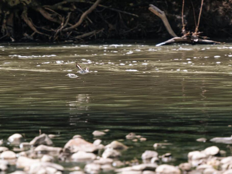 影響水質(zhì)pH值檢測的因素