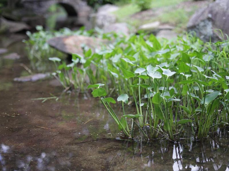 為什么水中氟化物檢測誤差很大 為什么水中氟化物檢測誤差很大