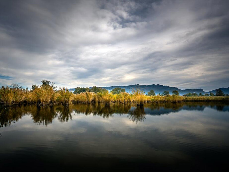 總磷在線自動監(jiān)測儀工作原理