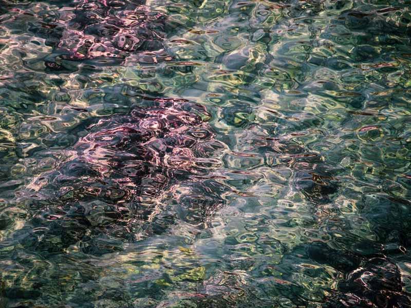 水質(zhì)在線濁度儀工作原理