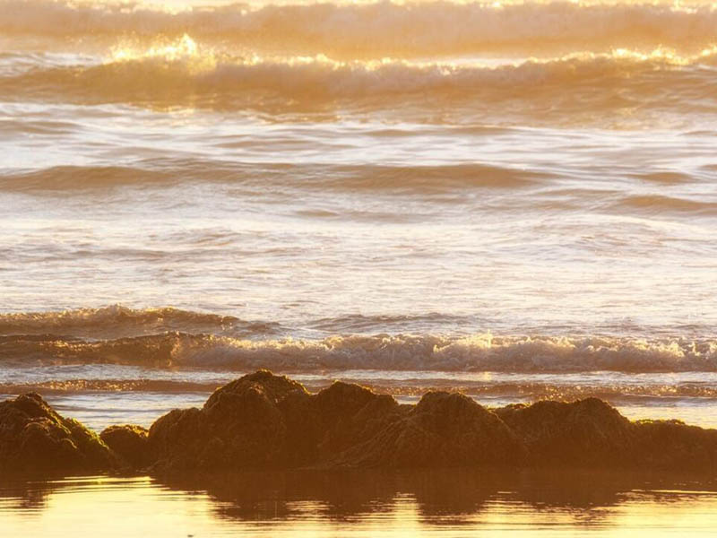 水渾濁度如何檢測(cè)