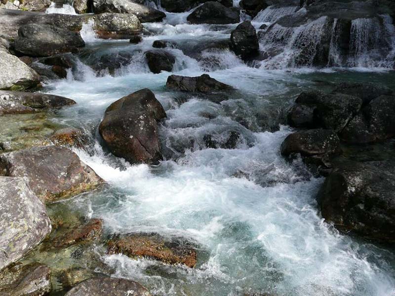 總氮測定儀校正曲線如何制作