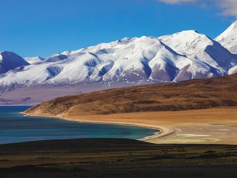 便攜式COD檢測儀的應(yīng)用