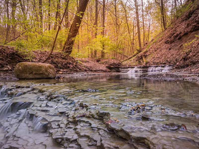 氨氮快速測(cè)定儀標(biāo)準(zhǔn)曲線標(biāo)定方法