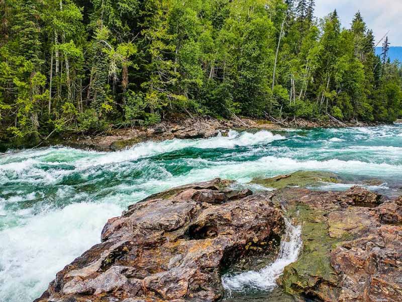 水質(zhì)乙草胺的檢測(cè)方法