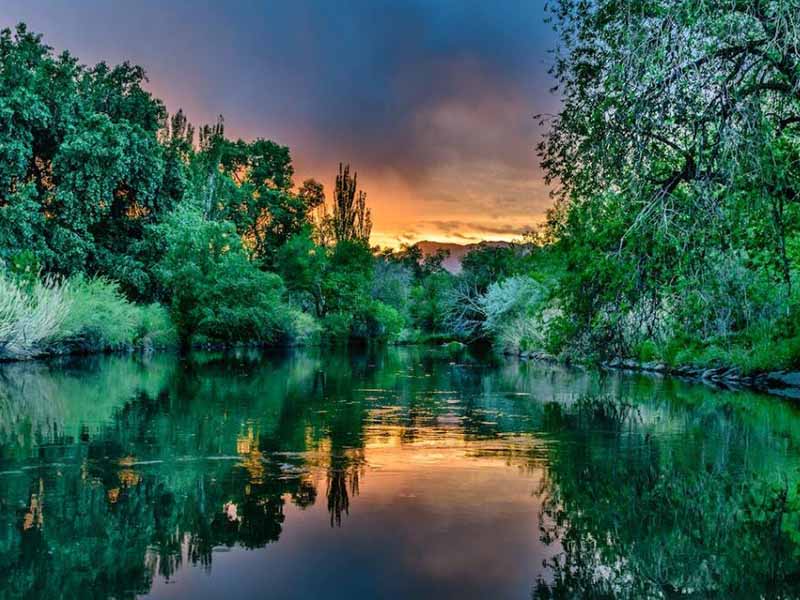 COD快速檢測(cè)儀測(cè)定步驟