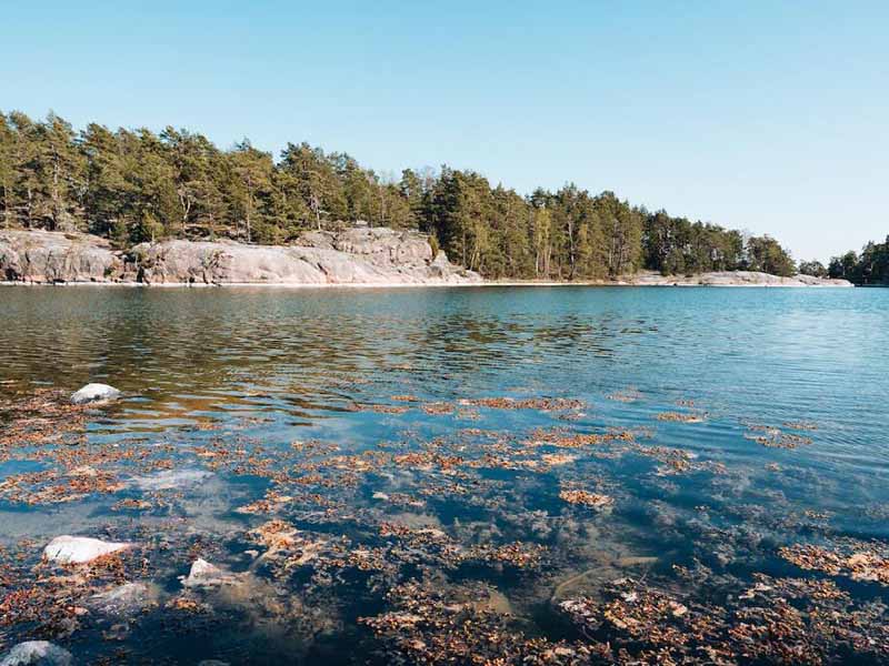 化學(xué)法和物理法測定COD的區(qū)別