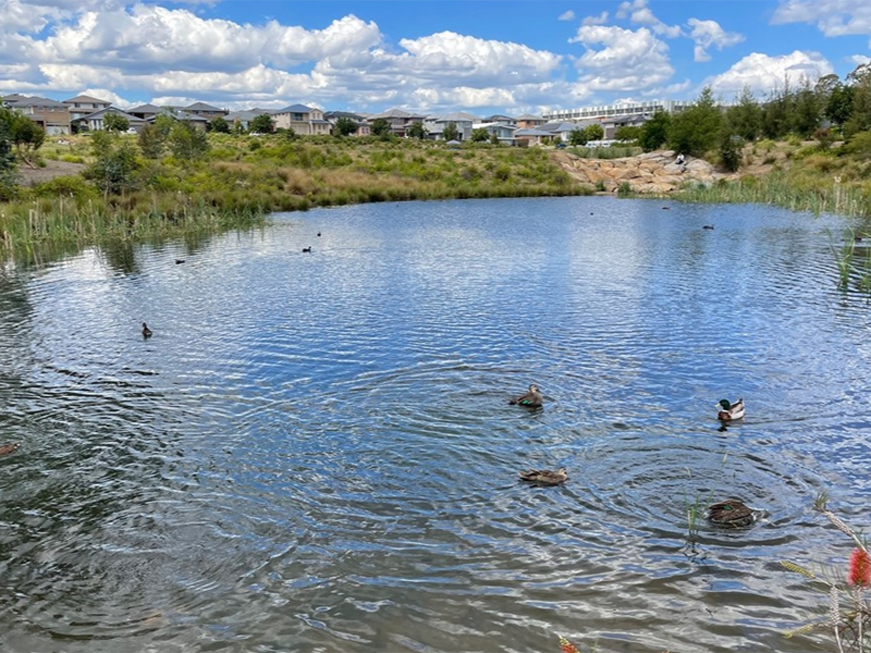 在線COD監(jiān)測儀測定原理