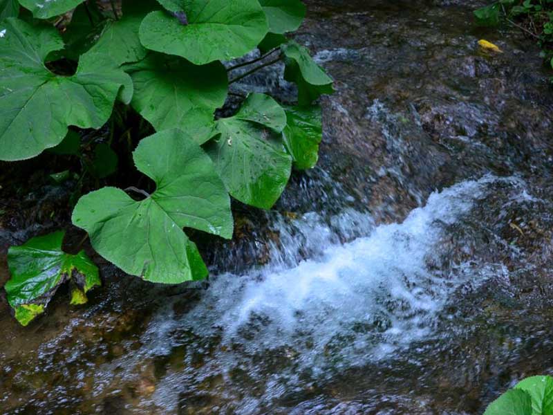 五日培養(yǎng)法BOD測定儀維護(hù)要求