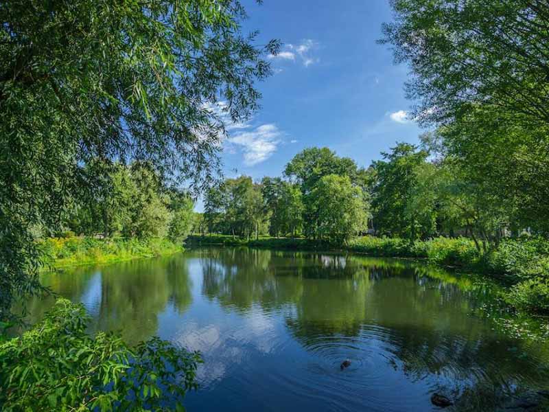 氨氮快速測定儀說明書