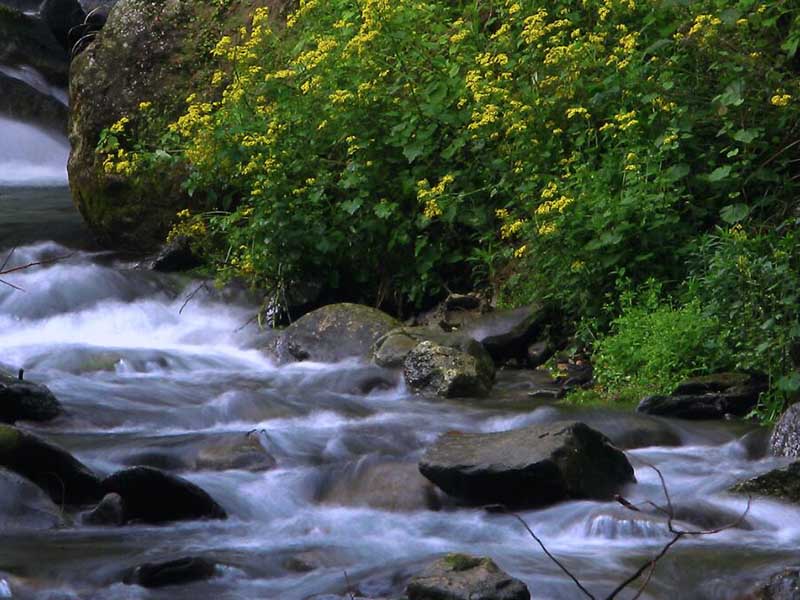 COD檢測儀安全使用要求