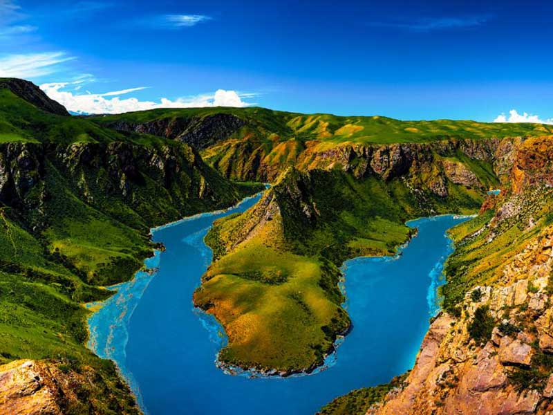 水體藍(lán)綠藻爆發(fā)的原因及危害