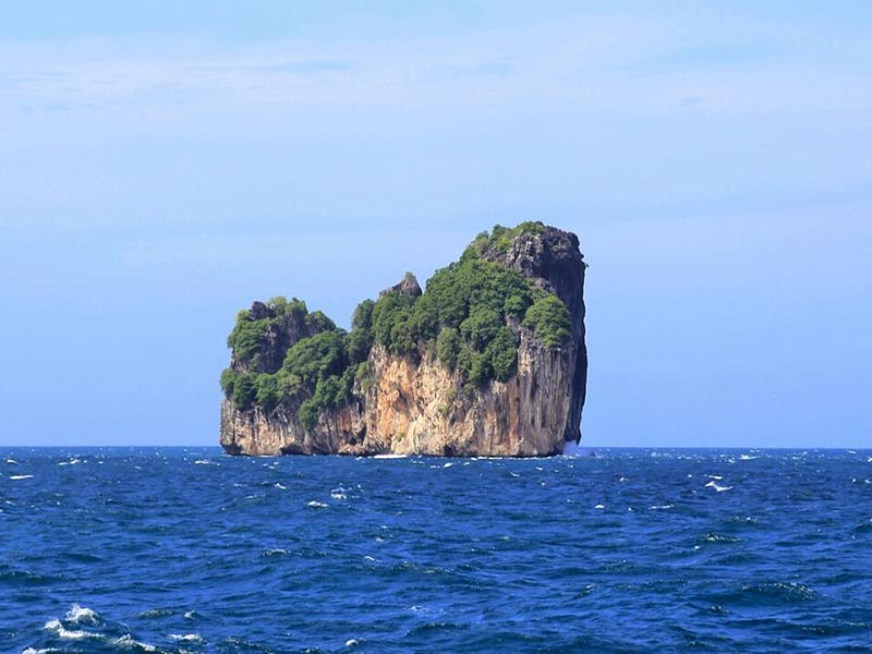 COD快速測(cè)定儀校準(zhǔn)與維護(hù)