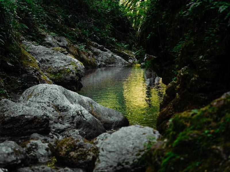 水質(zhì)揮發(fā)酚含量如何測定