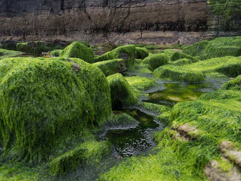 總磷快速測定儀結(jié)果分析