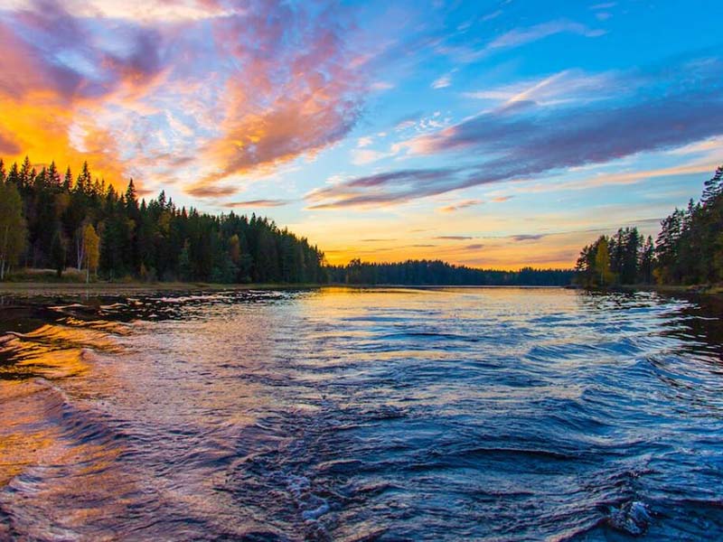 污水氨氮超標(biāo)原因