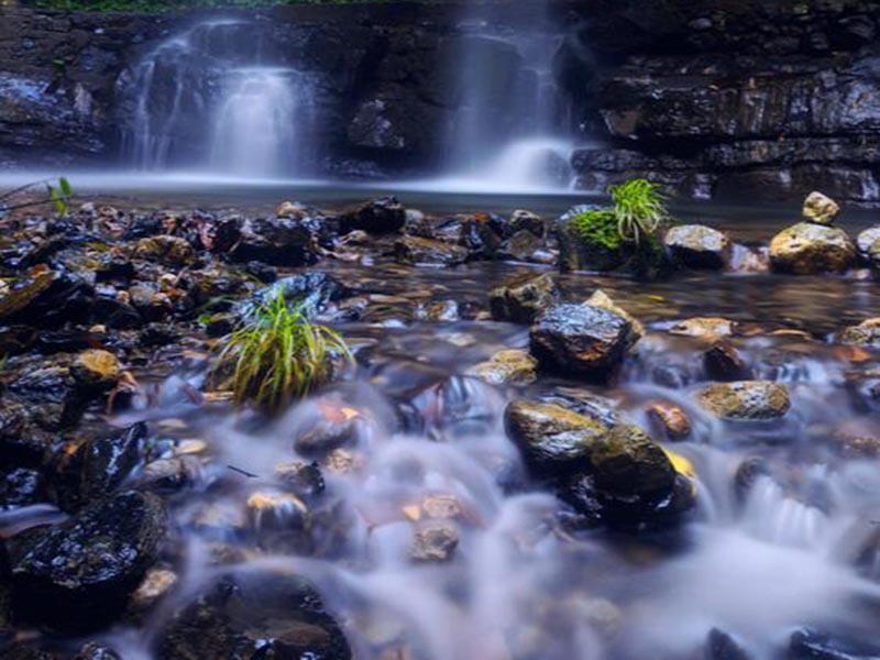 水質(zhì)色度檢測(cè)儀正確維護(hù)方法